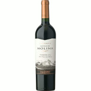 Castillo de Molina Carmenere. Dry