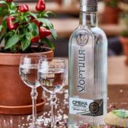 Хортиця срібна
