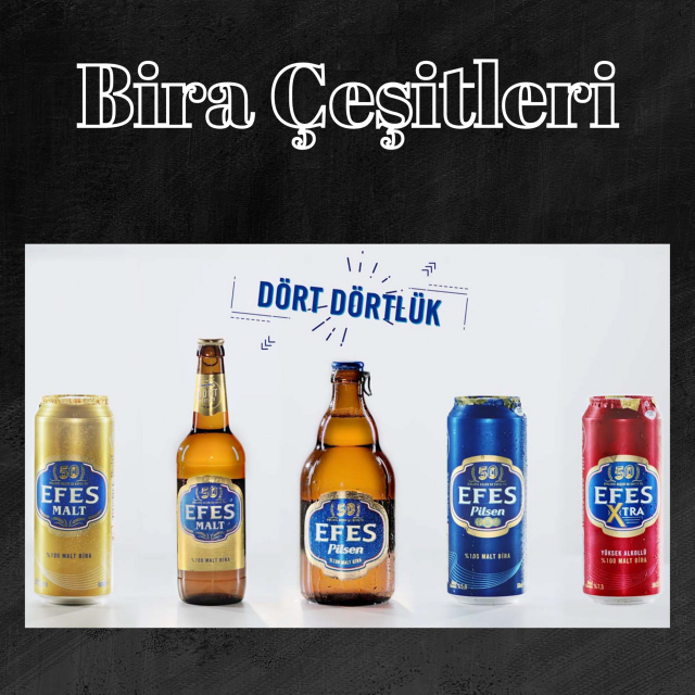 Bira Çeşitleri