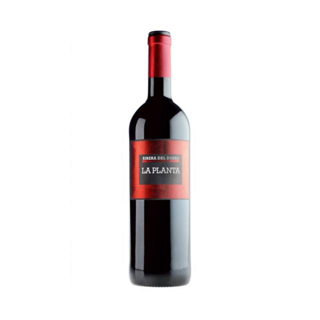 La Planta Magnum