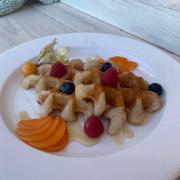Coconut waffles with honey and fruits