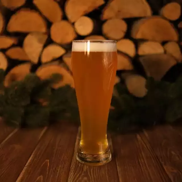 Пиво крафтове "Bier garage" Hell