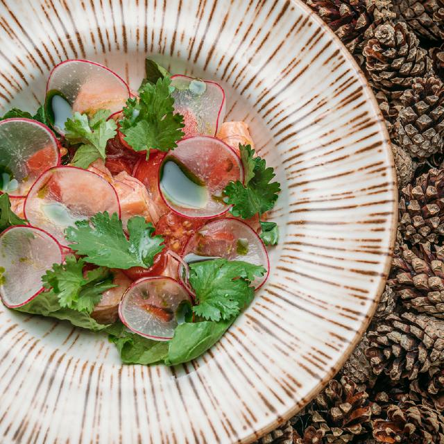 севиче из семги с томатами черри