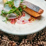 Семги филе со шпинатом и свекольным соусом