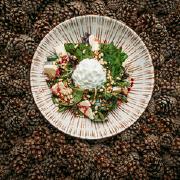 С вяленой свеклой и сыром бри