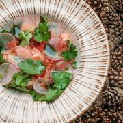 севиче из семги с томатами черри