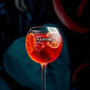 Martini Fiero & Tonic