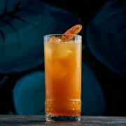 Sea Buckthorn Lemonade