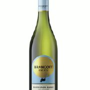 Savignon Blanc, Marlborough