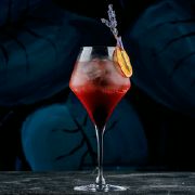 Berry Spritz