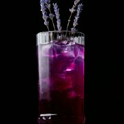 Lavander Spark