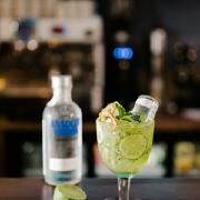 Ice kiwi