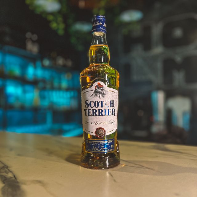 SCOTCH TERRIE`R