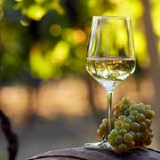 Біле вино