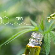 +CBD oil