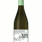 Truffle Hunter Leda