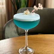 Gin Elderflower sour