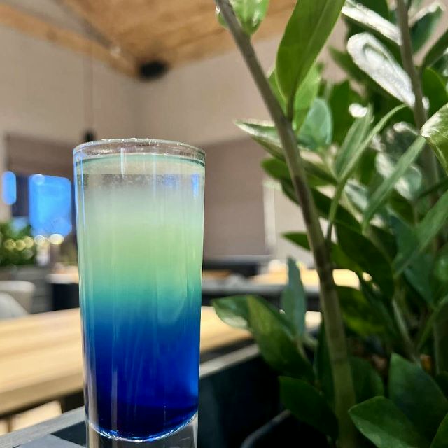 Синій мексиканець